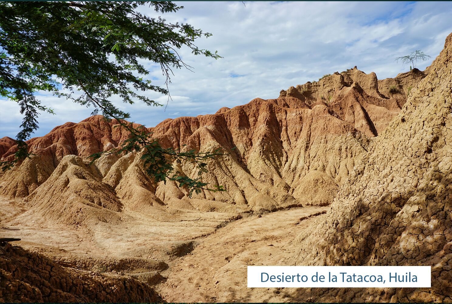 Desierto
